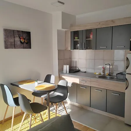 Apartment For Vrnjacka Banja