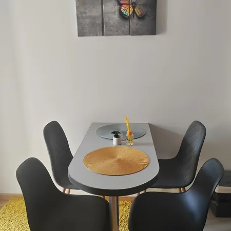 Apartment For Vrnjacka Banja *